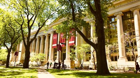 Harvard university